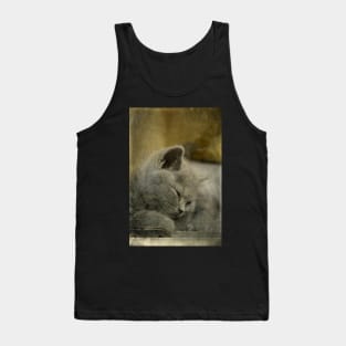 Sweet Little Grey Kitten Tank Top